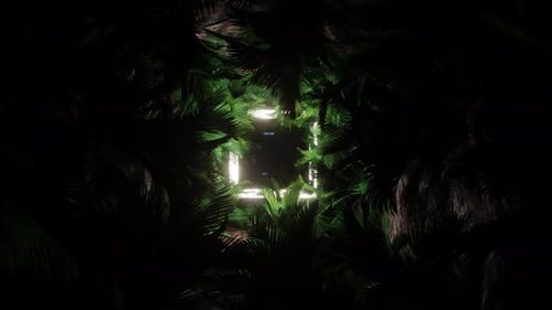 Palme im Licht Neon 04 4K