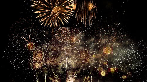 Colorful Fireworks Exploding in the Night Sky