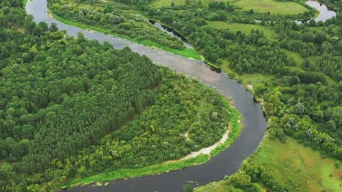 Aerial View Green Forest Woods And River Landscape In Summer Day