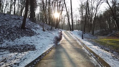Die Straße im Park 3