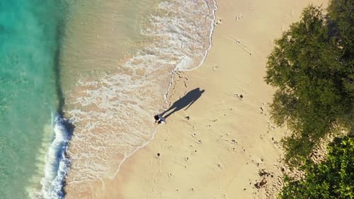 Aerial, Bora Bora. Young newlywed couple, walking on the white sand beach. Foamy waves washing the f