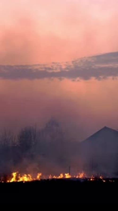 Burning Grass on Meadow or in Field Near Village at Sunset