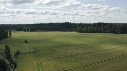 Green meadows and fields surrounded by forest. Scandinavian nature. Track right shot.