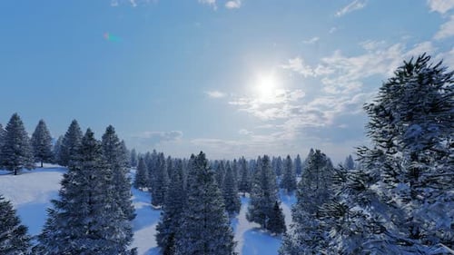 Winter Mountain Forest Landscape