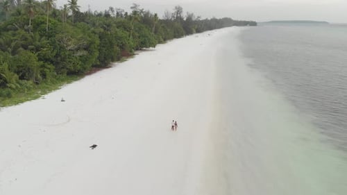 Aerial: couple on vacation walking on exotic beach romantic sky at sunset Pasir