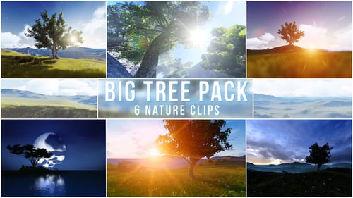 Big Tree. Nature pack