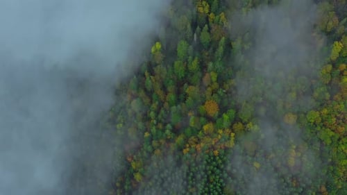 Mountains Rain Forest Weather Clouds Aerial Tree Autumn