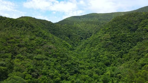 Aerial drone view of a green valley with hills and dense forest.