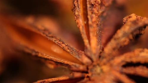 Exotic Dried Anise Spice Rotating on Plate, Extreme Close-Up. Culinary Art