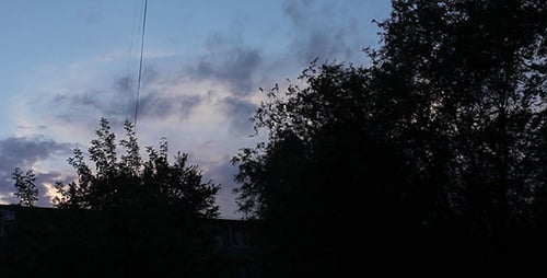 Colorful Sky and Trees in Silhouette at Twilight