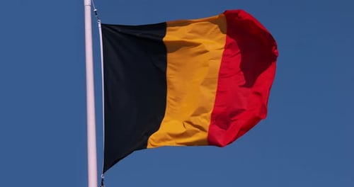 Belgian Flag Waving in the Wind on a Sunny Day
