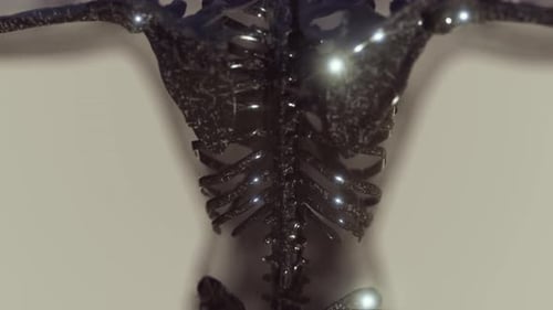 3D Human Skeleton Bones with Glowing Joint Pains