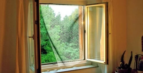 Veil Curtain