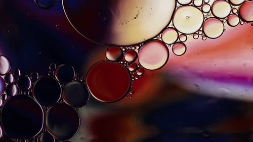 Abstract Colorful Bubbles Floating in Liquid