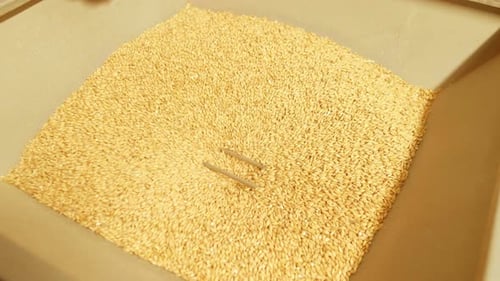 O dispositivo esmaga grãos de malte