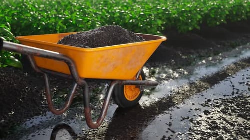 Yellow wheelbarrow pushed through the garden on wet soil. Looping animation 4KHD