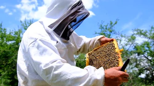 Beekeeping Pack, 4 Shots