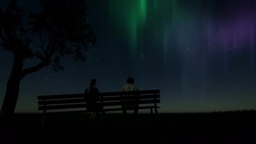 Couple Watches Aurora Borealis Under Starry Night Sky