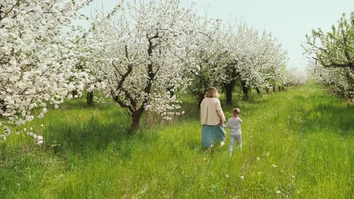 Mother and Little Son are Walking in the Blooming Garden