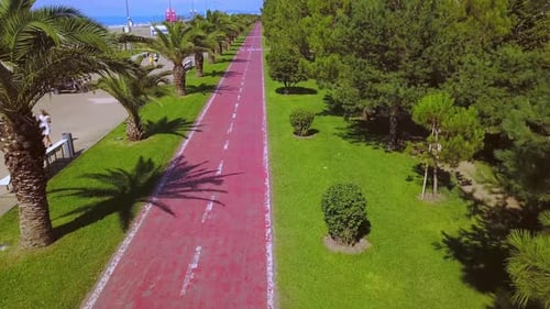 Radweg entlang der Palmengasse mit Blick auf das blaue Meer