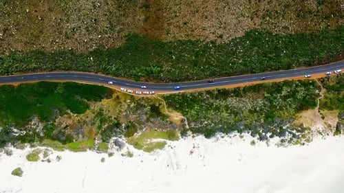 Coastal road surrounded by greenery