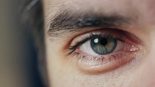 Schöne männliche Blau-Augen-Nahaufnahme