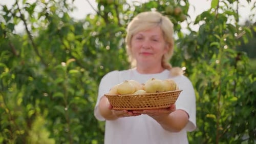 Happy Woman Holding Basket of Fresh Pears