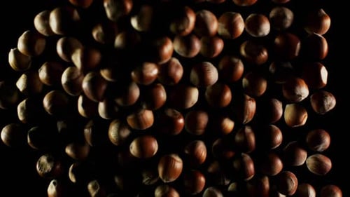 Hazelnuts Falling in Slow Motion Against Black