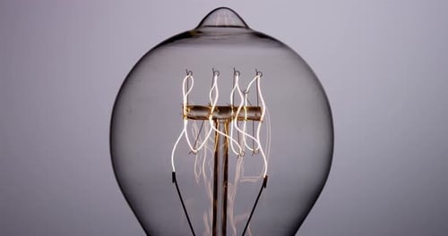 Light Bulb