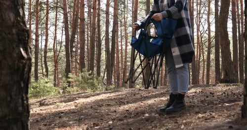Woman puts chair and sit dowmn on it in pine forest in sun shine spring day