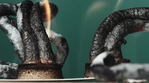 Pharao Snake Chemisches Experiment zum Erhitzen von Kalziumgluconat auf trockenem Alkohol