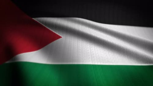 Waving Palestinian Flag with Realistic Fabric Texture