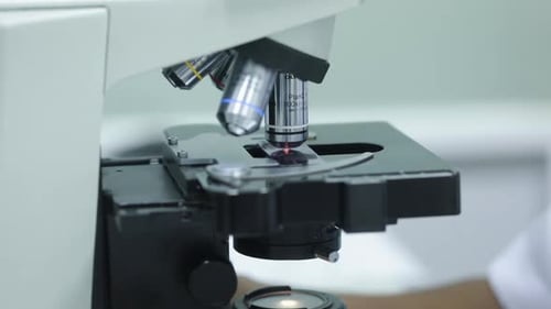 Close Up Microscope and Hands Adjusting Sample