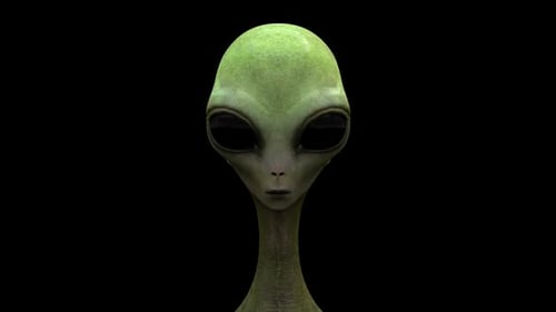 Animated Green Alien Blinking Eyes with Subtle Head Movement
