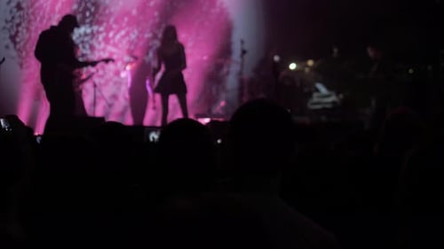 Crowd Making Party at a Rock Concert