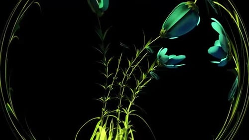 Abstract Neon Plants Growth Animation Background