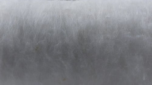 White Cotton Wool Texture