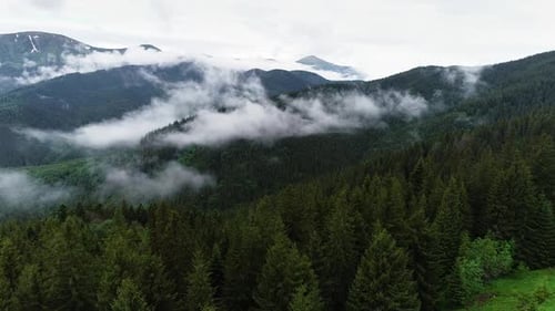 Flying Through the Clouds Above Mountain Tops. High Peaks with Forest, Wonderful Natural Landscape