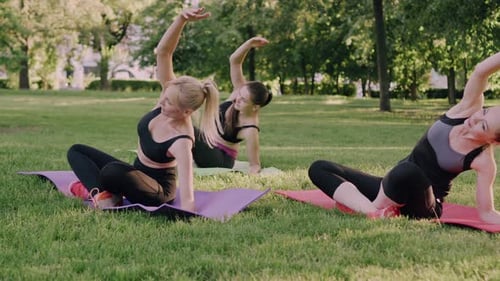 Women Exercising Together Outdoors in Park