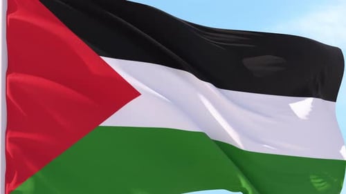 Palestine Flag Waving Loop with Realistic Fabric Texture