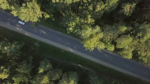 Countryside Forest Road