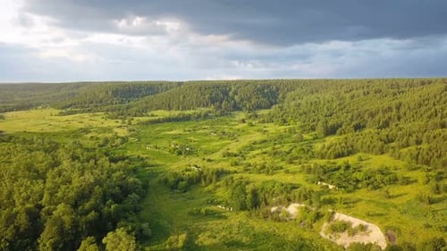 Nature Meadow And Forest