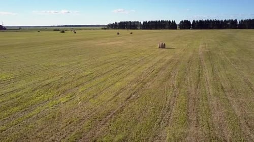 Aerial Motion Over Field with Packaged Straw Rolls By Road