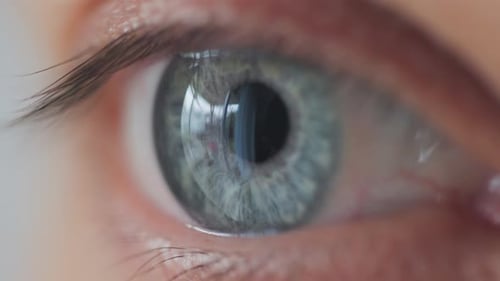Extreme Close-Up of a Blue-Grey Human Eye