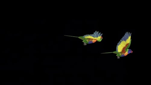 Colorful Artistic Animated Flying Parrots