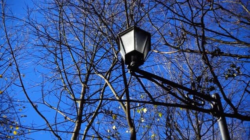 Lámpara de calle contra el cielo en el parque otoñal.