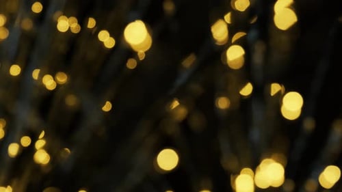 Abstract Bokeh Lights Twinkling on Black Background
