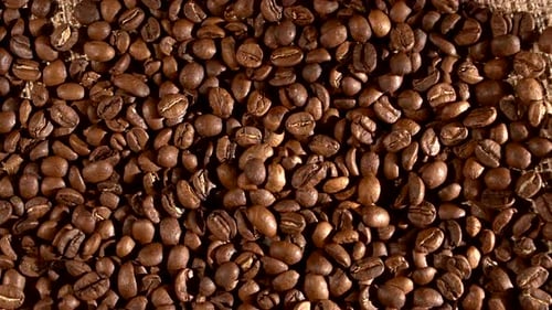 Close Up of Fresh Coffee Beans on Burlap