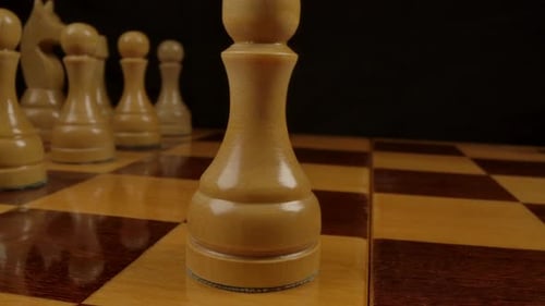 Chess Pieces Lined Up on Chessboard
