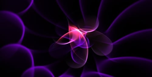 Fractal Art Collection - Night Rose - HD Loop